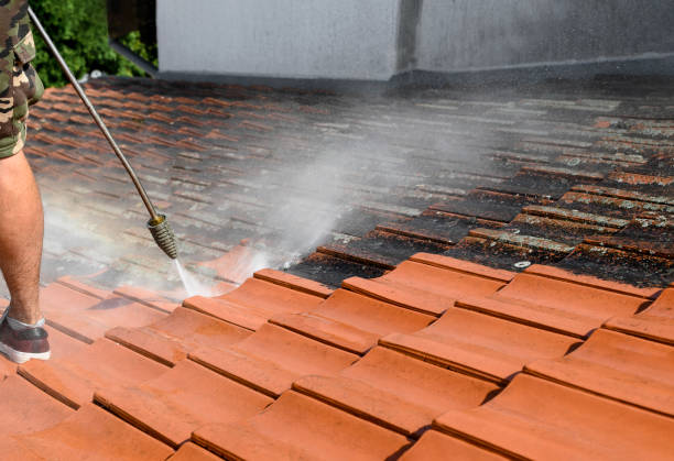 Best Deck Pressure Washing  in Dixon, IL