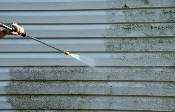 Deck Cleaning Services in Dixon, IL